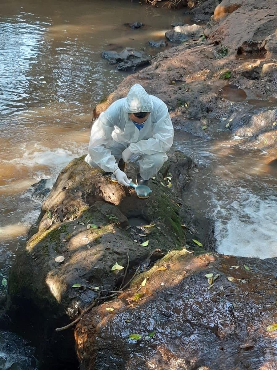 Aumenta para 95 o número de infectados pela Dengue em Ibirubá