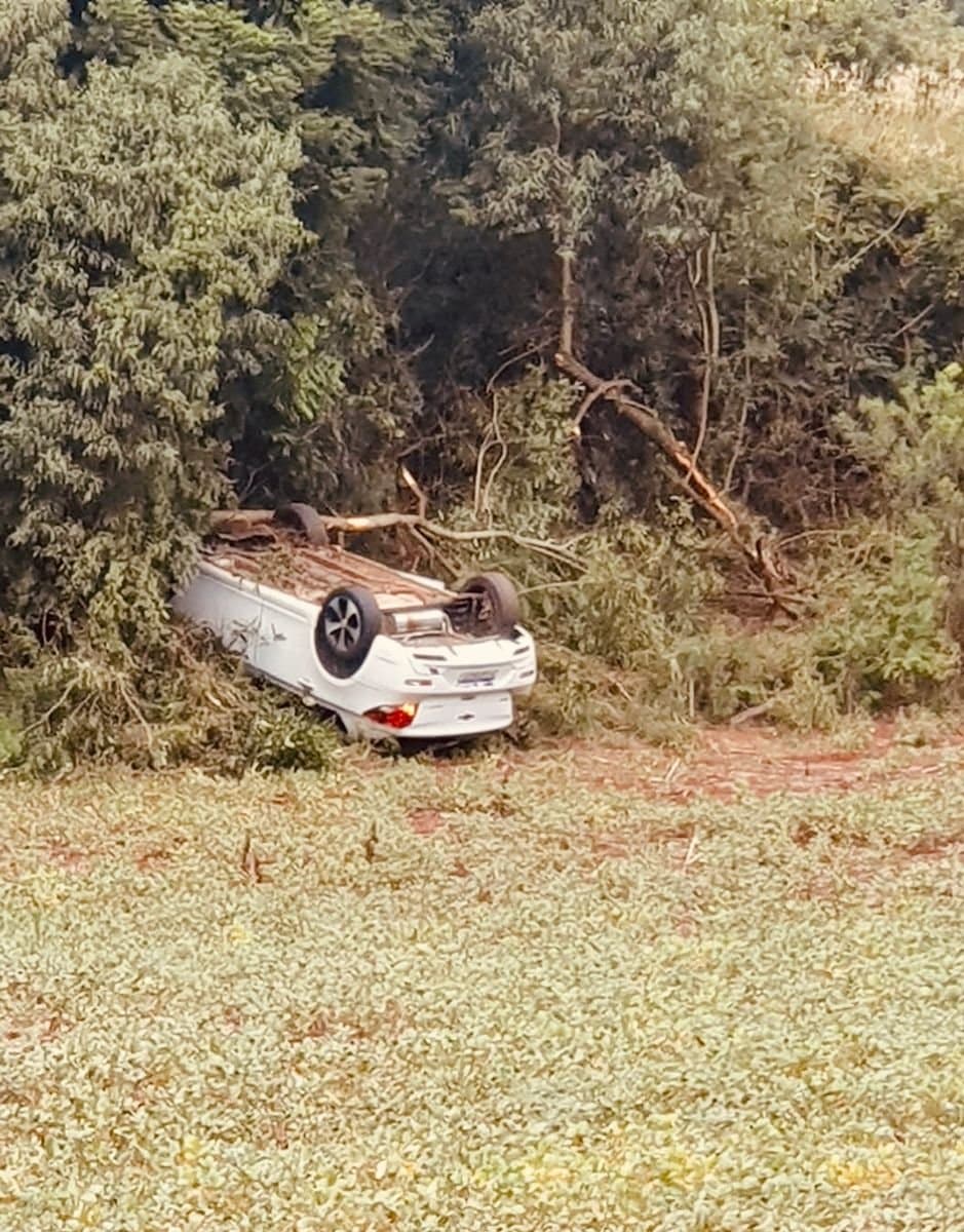 Veículo sai da pista, capota e atinge árvores na ERS-223