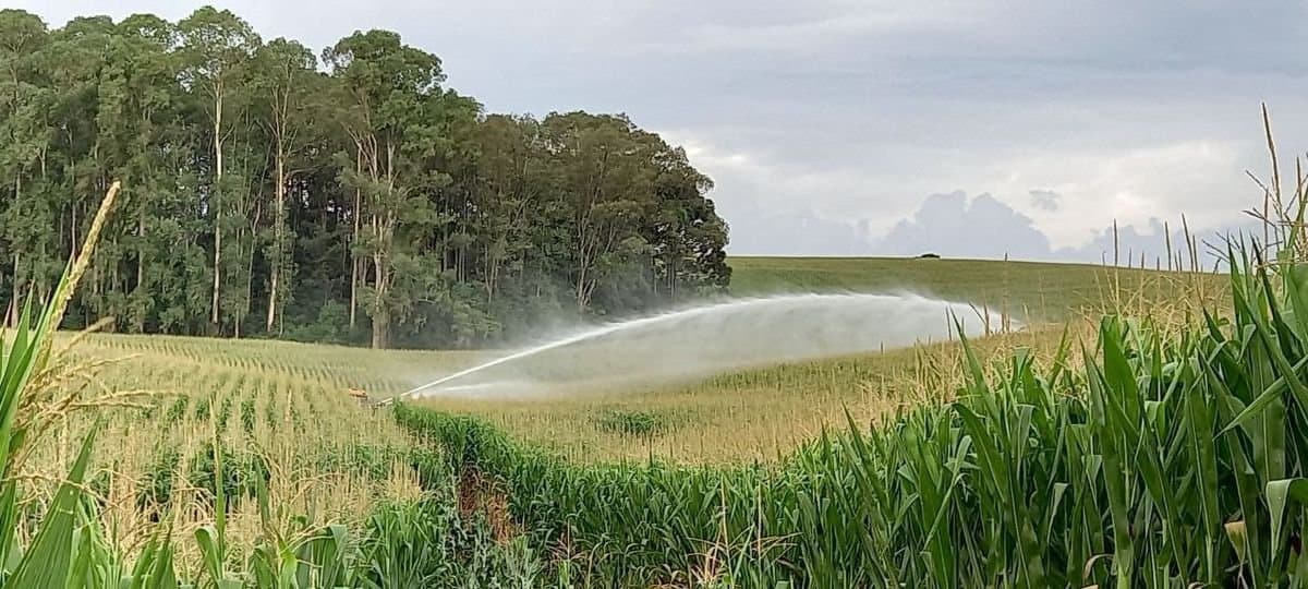 A importância vital da agricultura irrigada na produção alimentar