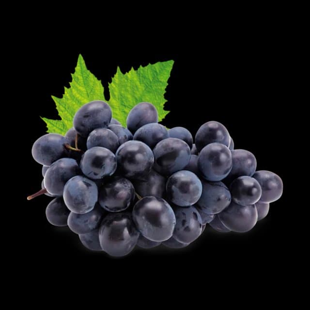 Tradição e desafios na produção de uvas em Fortaleza dos Valos