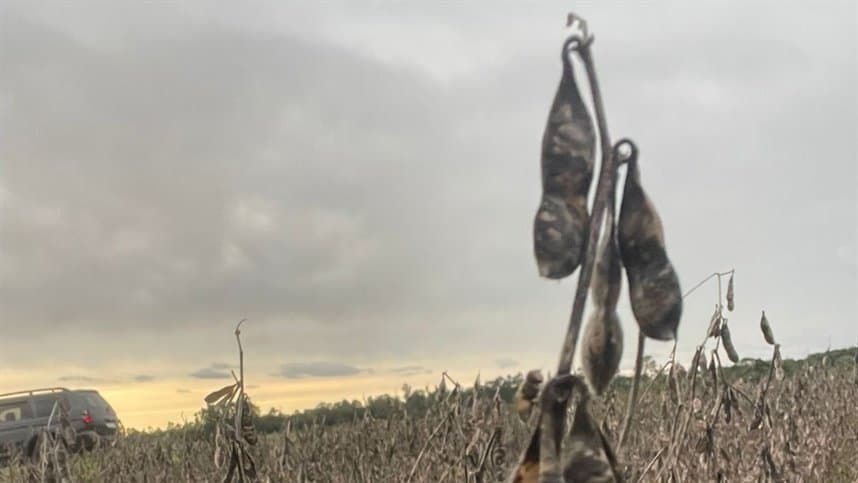Enchentes em maio causam perdas milionárias para produtores rurais do RS, segundo Farsul