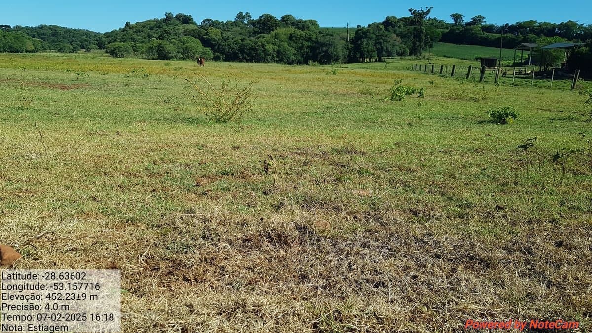 Estiagem severa em Ibirubá causa perdas superiores a R$ 154 milhões na safra 2024/25