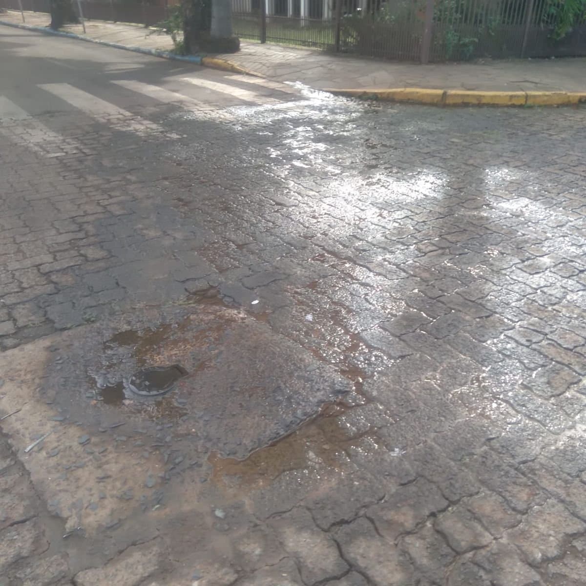 Vazamentos tomam as ruas de Ibirubá e moradores pedem solução imediata
