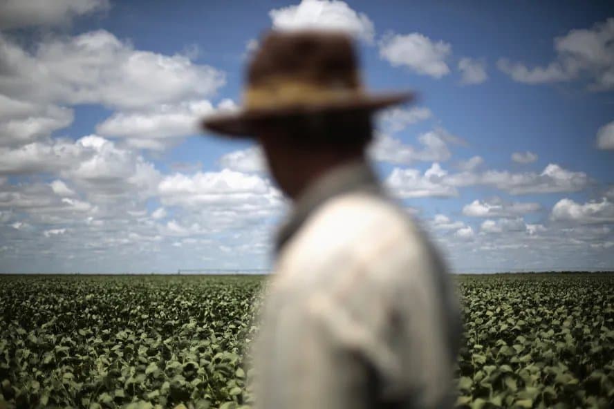 Inadimplência rural no RS ultrapassa R$ 1,2 bilhão e se concentra nos grandes produtores