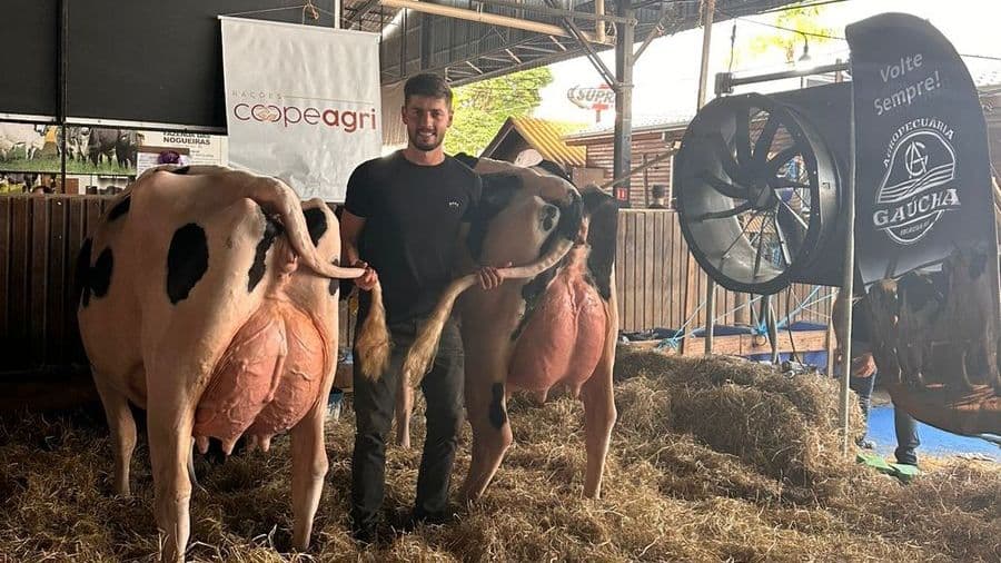 Da nutrição à genética: Agropecuária Ibirubense brilha na Fenasul Expoleite 2025