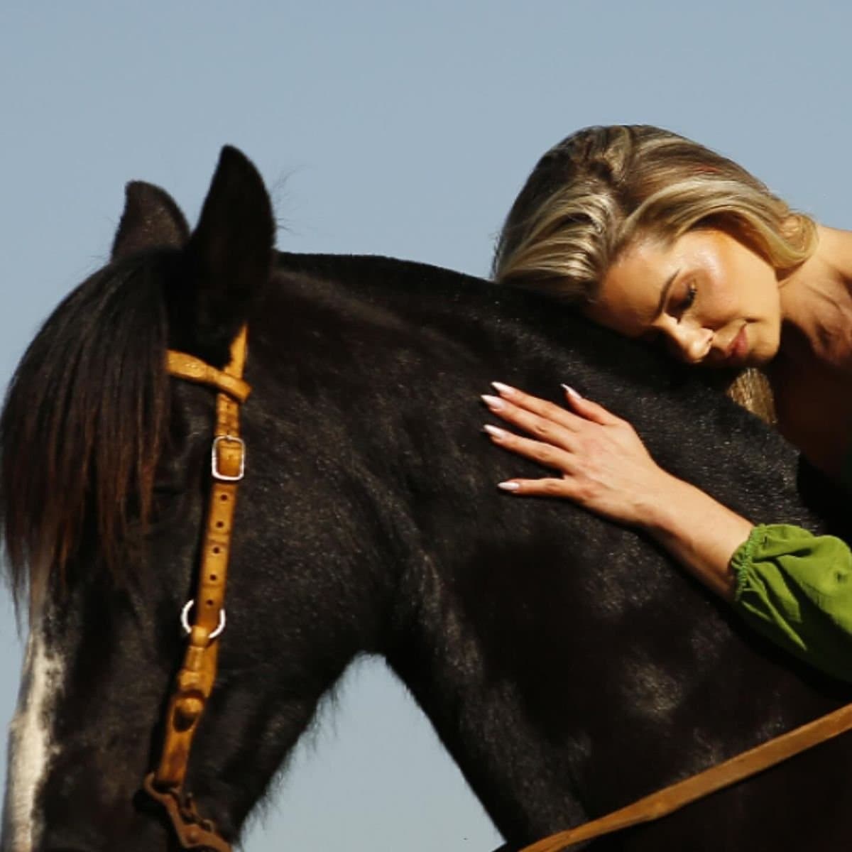 Saiba mais sobre a Ecoterapia e a força transformadora do cavalo no equilíbrio emocional