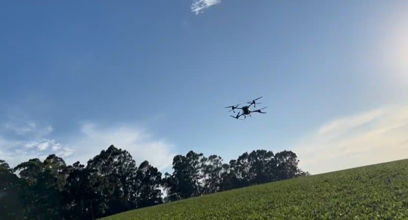 Pesquisa comprova eficiência do uso de drones no controle de percevejos na soja