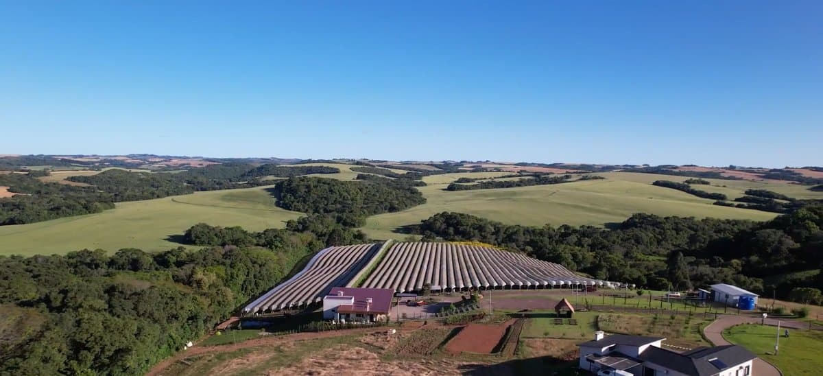 Saiba como o Valle da Niágara expandiu possibilidades com a energia da Coprel